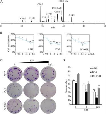 Sheep tail fat inhibits the proliferation of non-small-cell lung cancer cells in vitro and in vivo